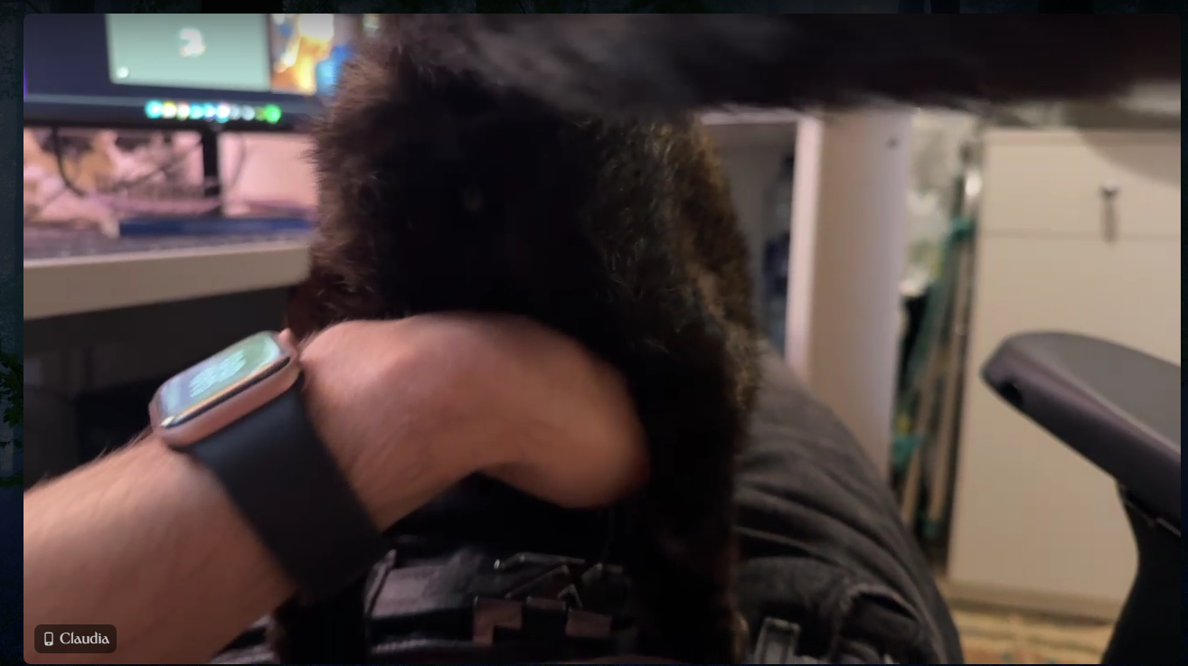 Captura de pantalla 2026-04-14 224004.png